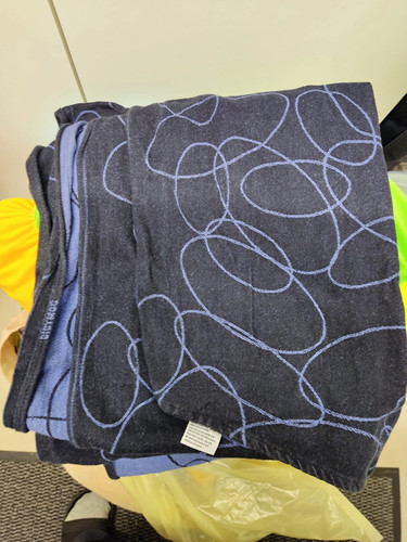 Didymos